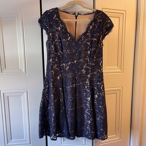 Eliza J Cap Sleeve Lace Navy Dress